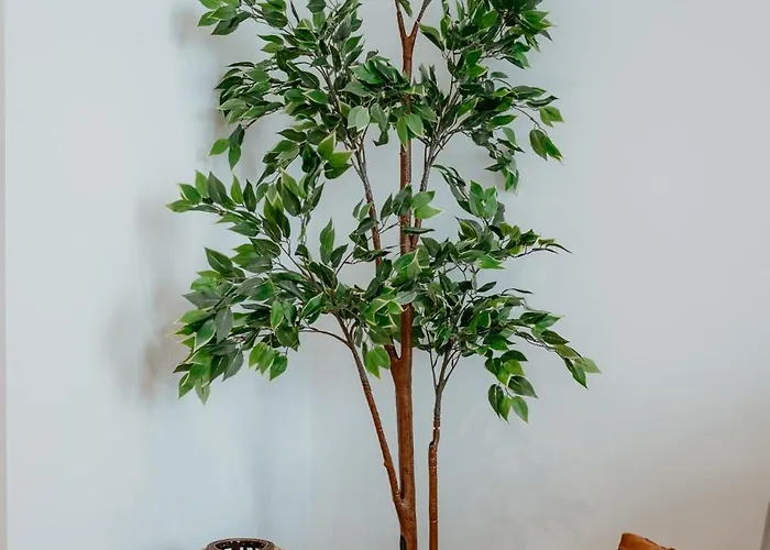 דירה Avenue Center Sea Garden *