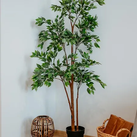 Lejlighed Avenue Center Sea Garden *